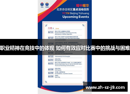职业精神在竞技中的体现 如何有效应对比赛中的挑战与困难